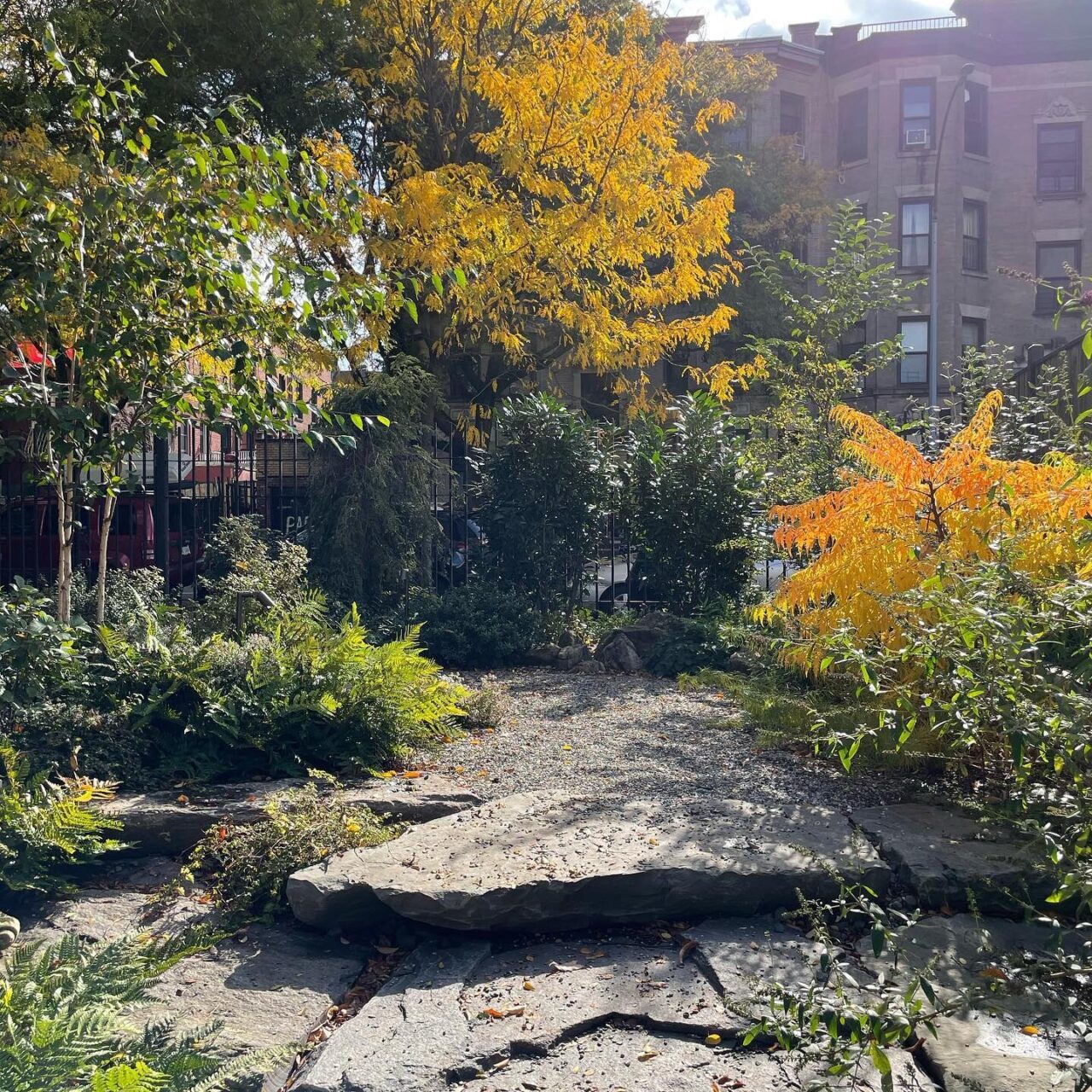 Limitless Landscaping softscaping project featuring lush greenery in Winnipeg, Manitoba