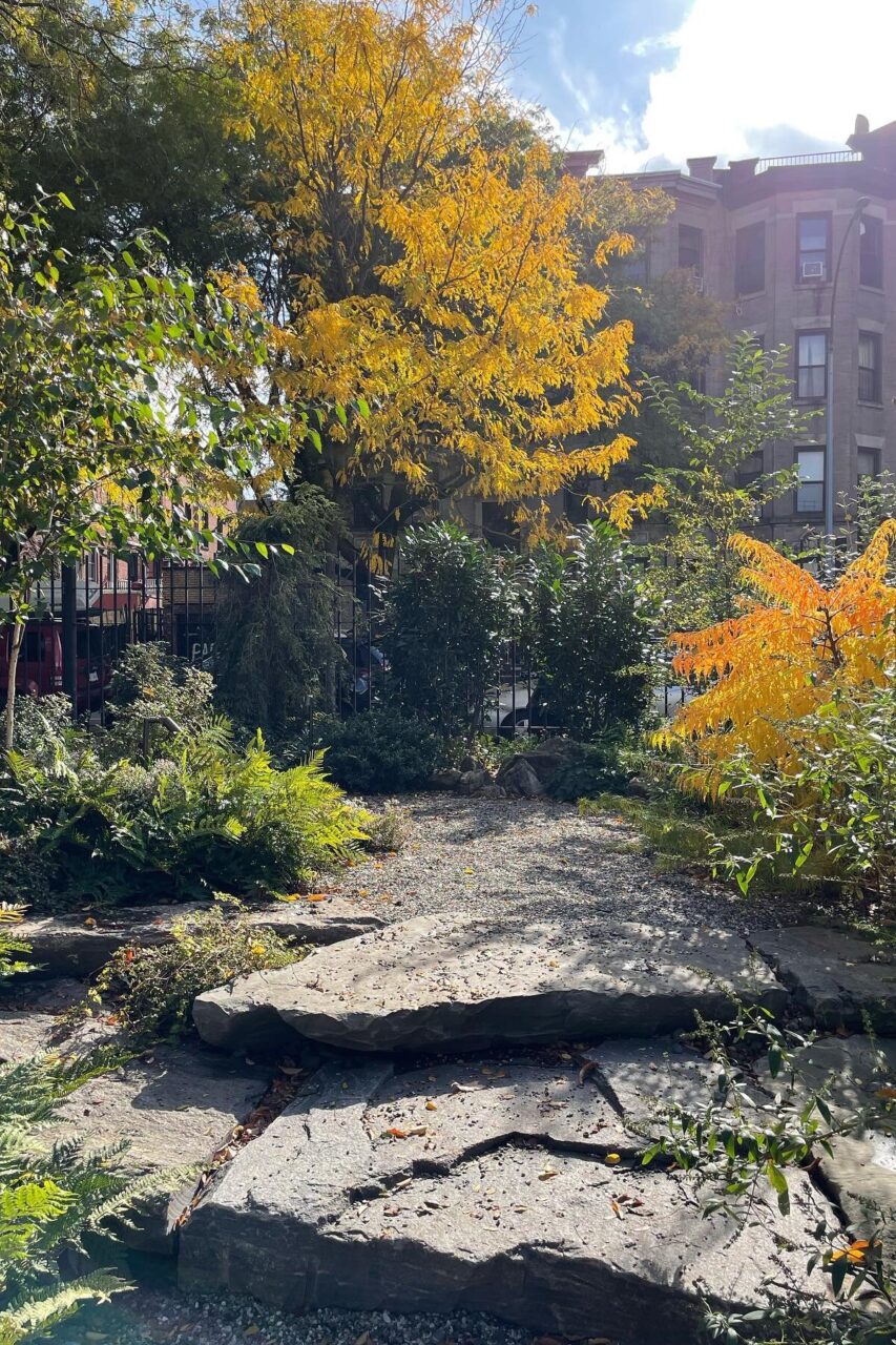 Limitless Landscaping softscaping project with autumn foliage in Winnipeg, Manitoba