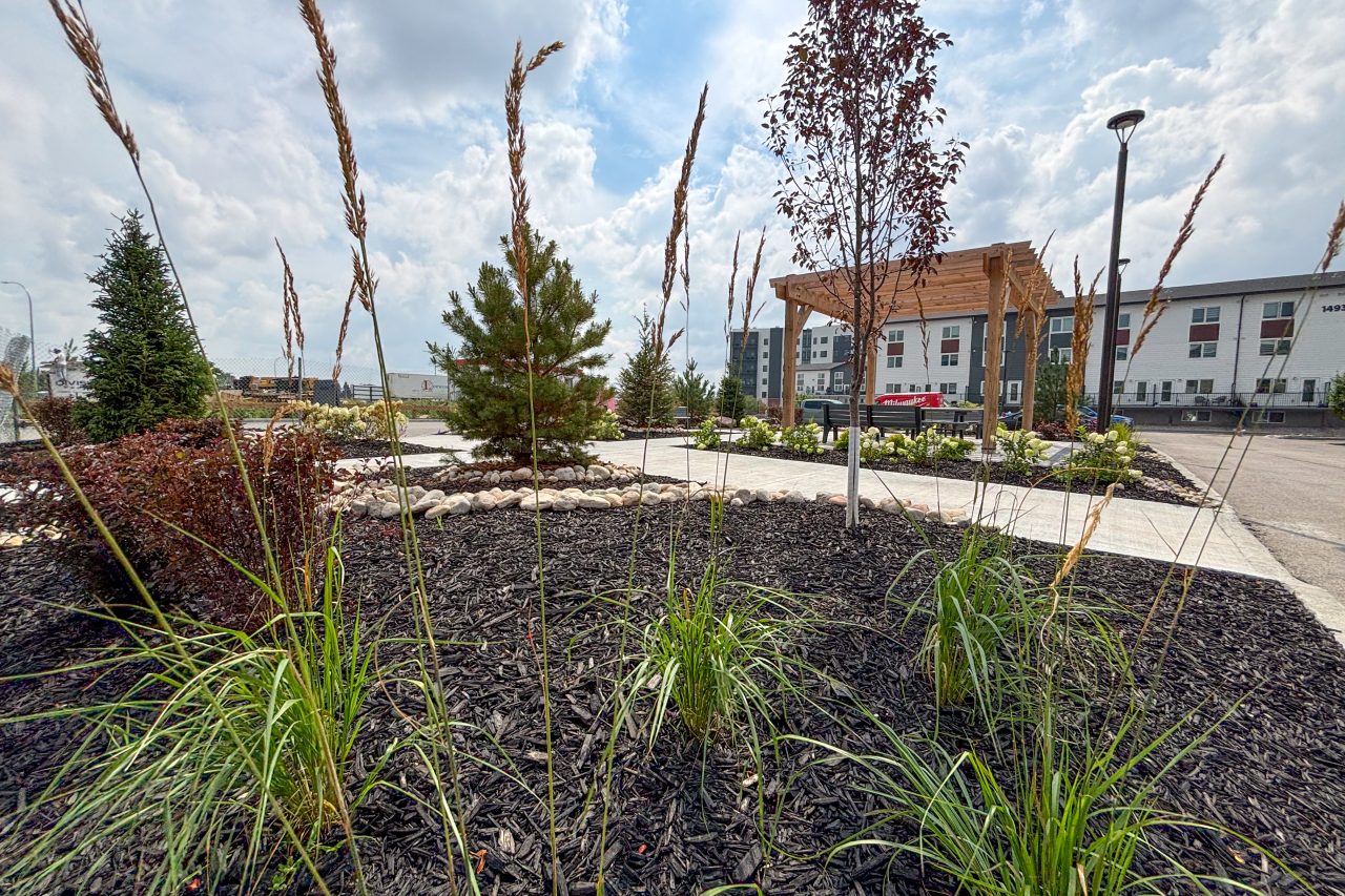 Limitless Landscaping softscaping and planting project in Winnipeg, Manitoba on Molson Ave.