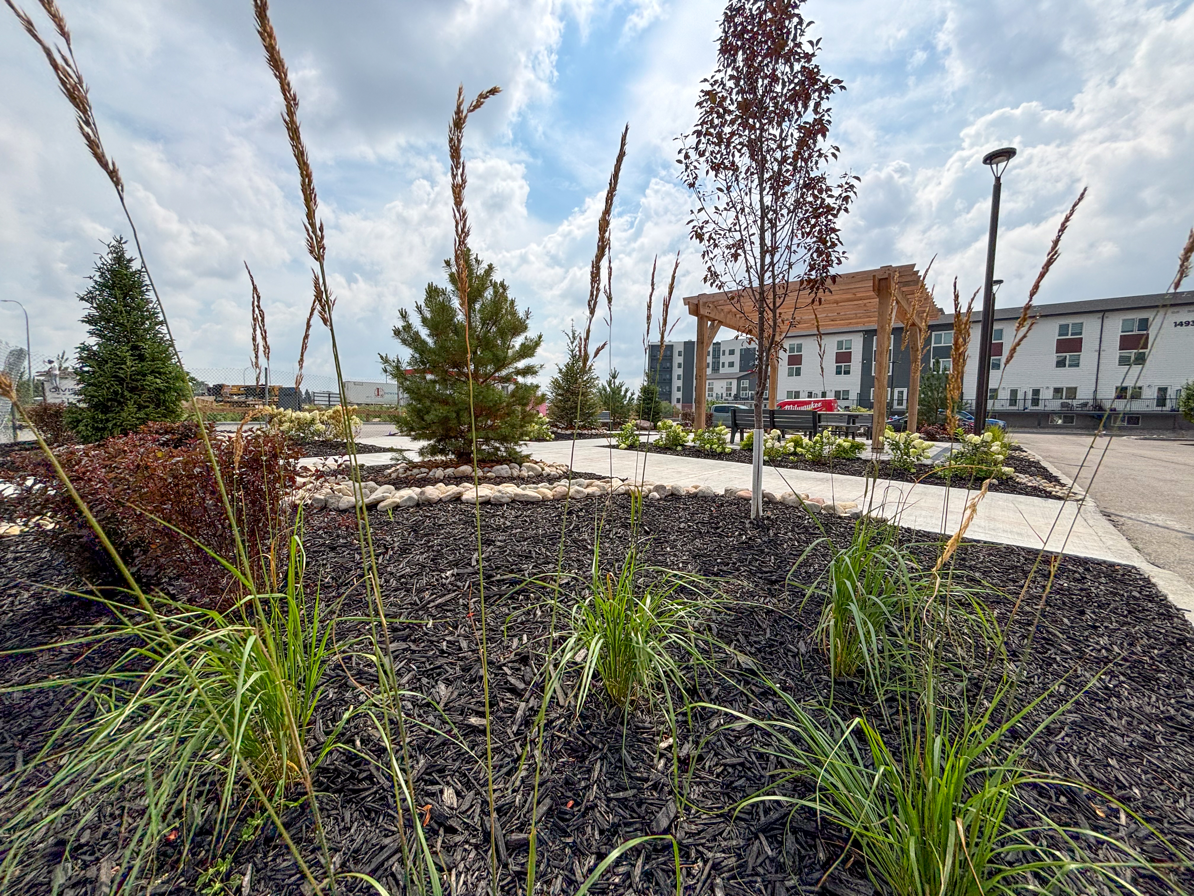 Limitless Landscaping softscaping and planting project in Winnipeg, Manitoba on Molson Ave.
