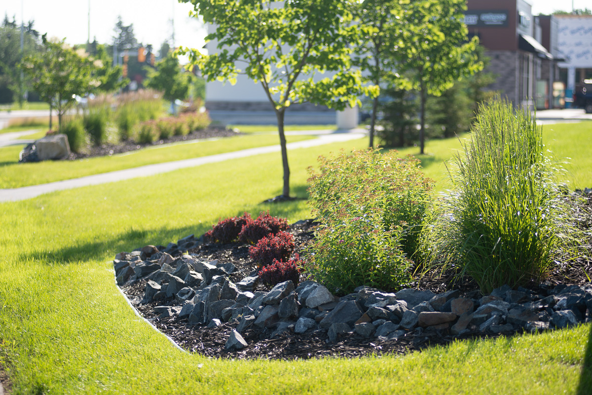 Limitless Landscaping softscaping project with plants and rocks in Winnipeg, Manitoba