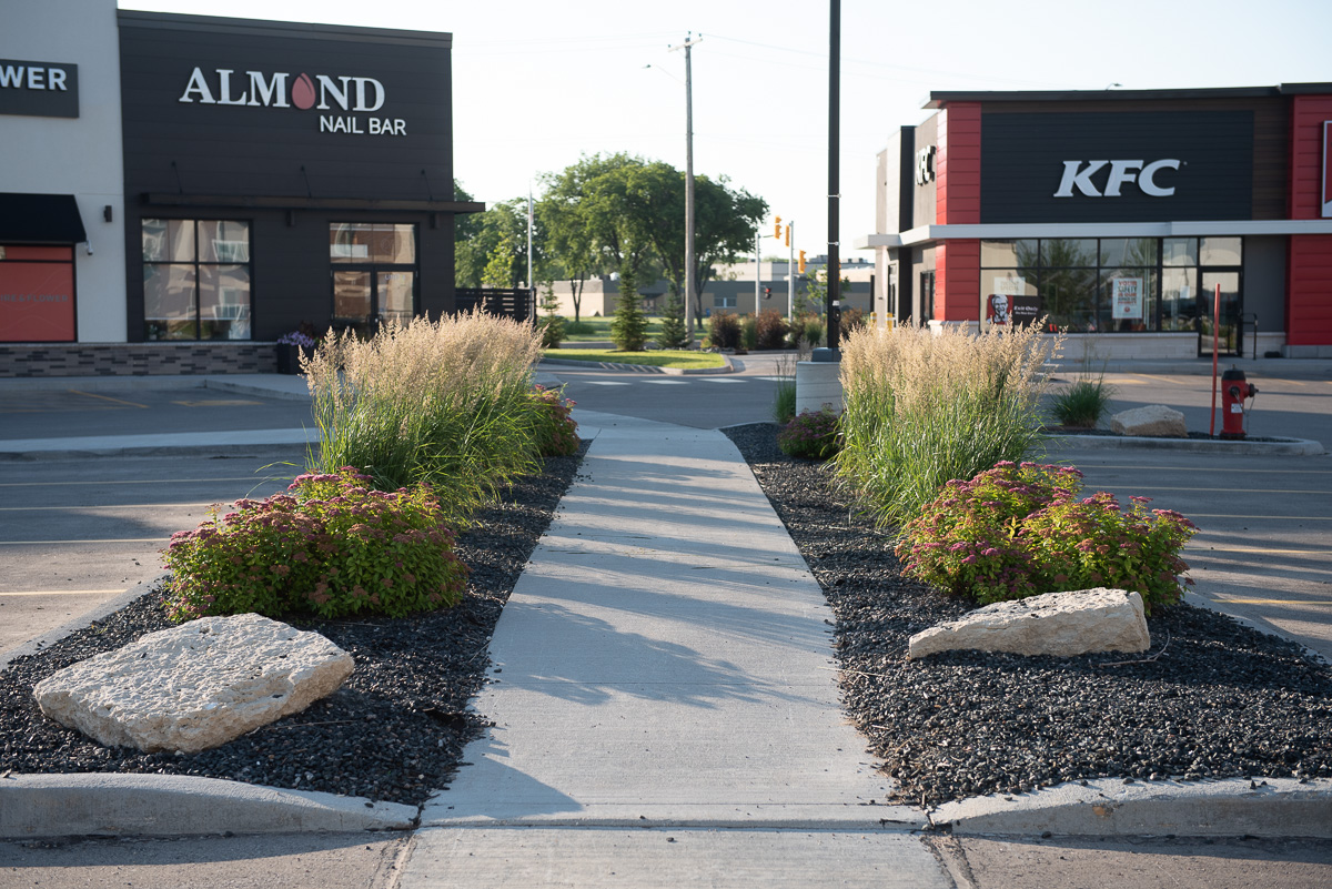 Limitless Landscaping softscaping project with plants and stones in Winnipeg, Manitoba.