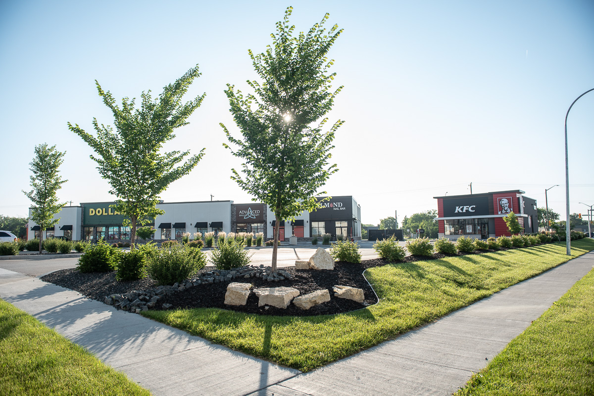 Limitless Landscaping softscaping project with trees and shrubs in Winnipeg, Manitoba on Plessis Rd.